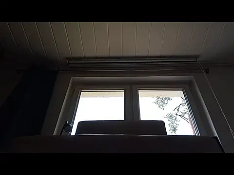 Rainfish Live XXX-Chat