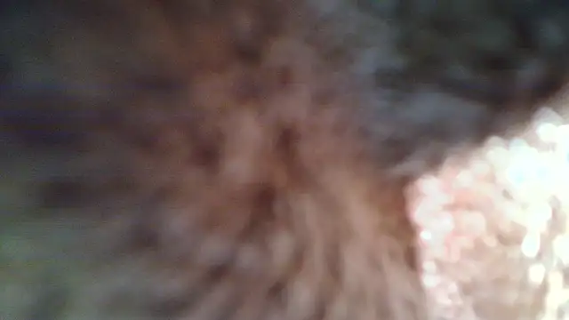 Živý XXX chat muscleangel18