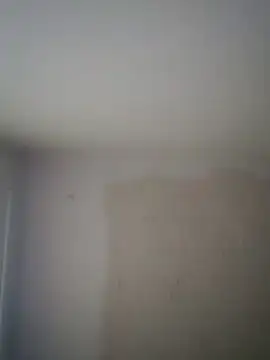 JemJensen30 Live XXX-chat