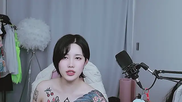 MISA_02n Webbikameraesitys