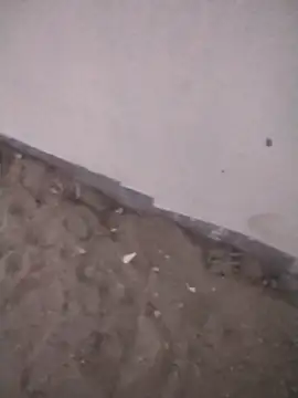 عرض كام Tobelaallah