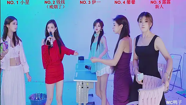 ZZ000S33 网络视讯表演