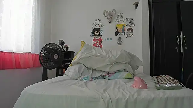 SonSett's Webcam Show