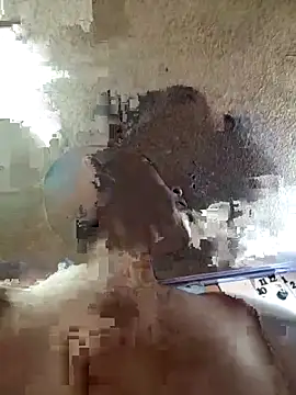 Blackpaullee Pertunjukan Webcam