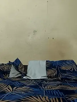 snadycam Show Webcam