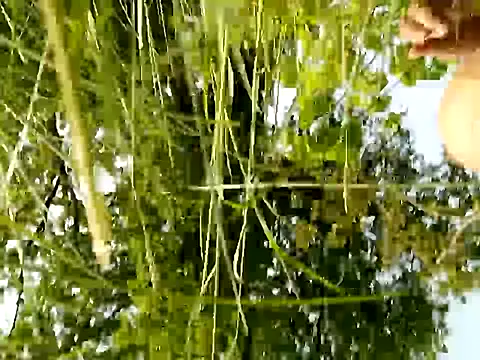 bigcock_marusz 网络视讯表演