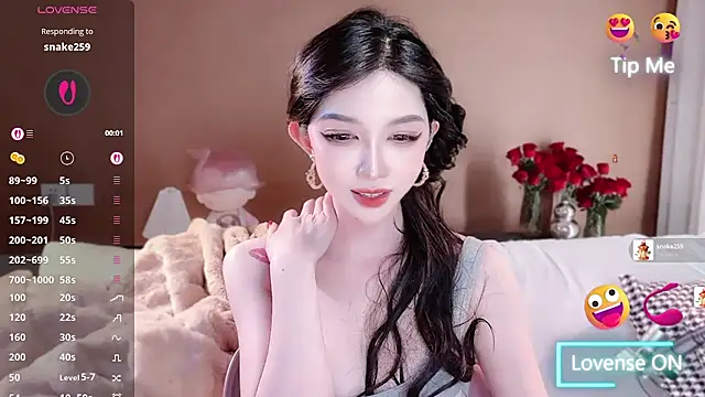 vyizh- Show Webcam