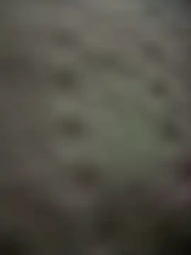 Chat XXX ao vivo de Sarita-candy