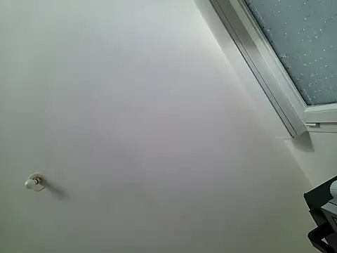 Show webcam de Olifesse