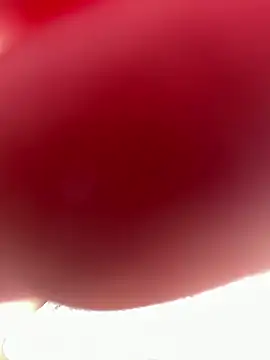 TerribletabbyのライブXXXチャット