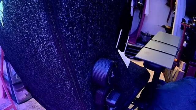 Show Webcam de famousALYX
