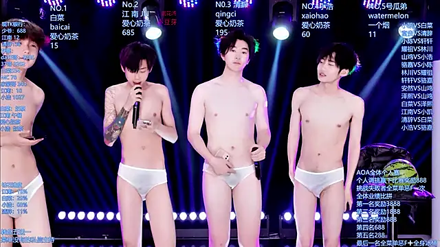 AOA-MIC webcam show