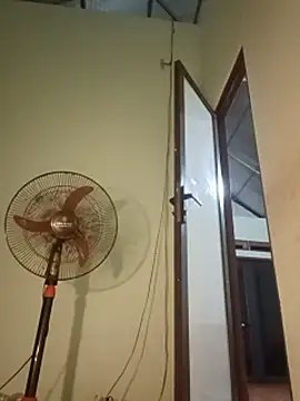 Pivi12 Show Webcam