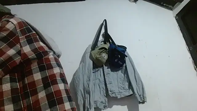 Show modela sk8-sir na web-kameri