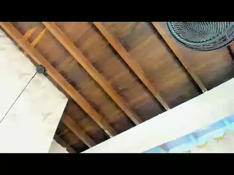 Show webcam de RONNY_COLTON