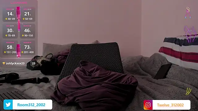 Pertunjukan Kamera Web Room312_