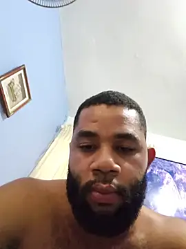 Show de imegroj na webcam