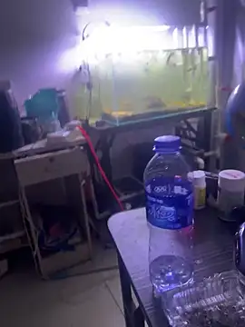 Saodongdexin Show Webcam
