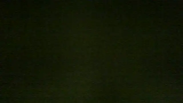 Show Webcam de chichoplus