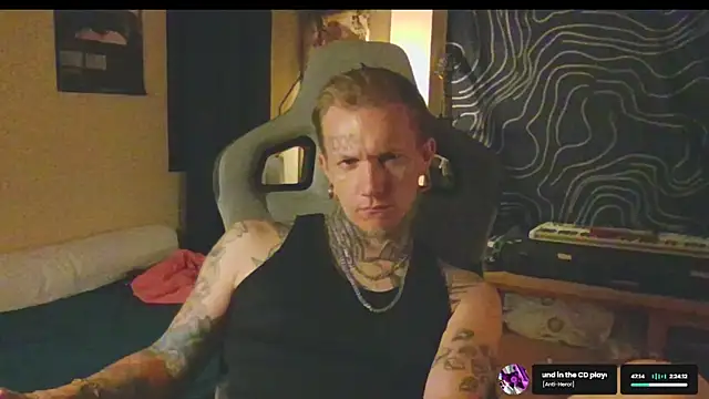 paulvelvetn Webbikameraesitys