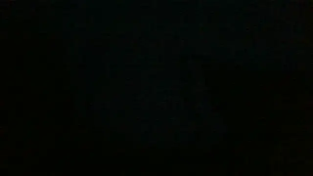 chichoplusのウェブカメラショー