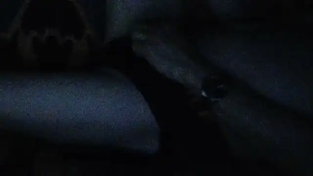cumloverboyxx69's Webcam Show
