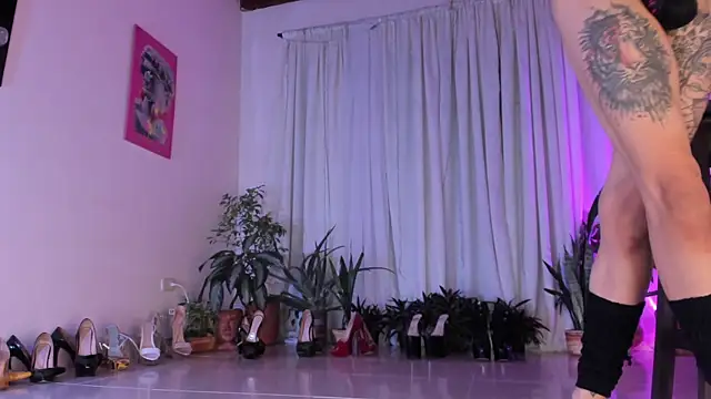 ArchieCollins Live XXX Chat