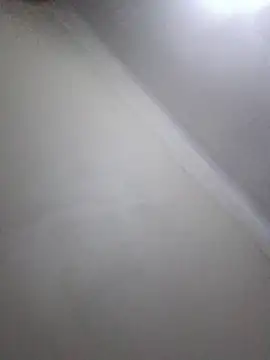 Show webcam de TheRiseOfDick