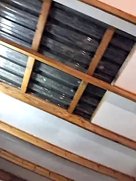 Blackforest10 Show in webcam