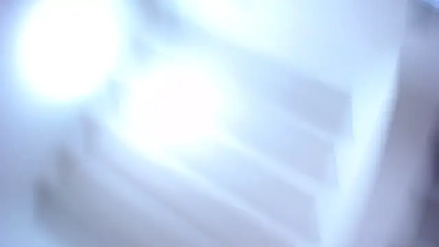 damn_fox Live XXX Chat