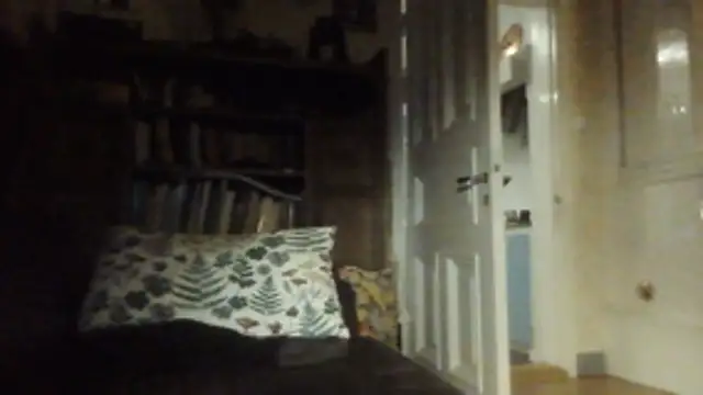 SHARPSkinhead webcam show