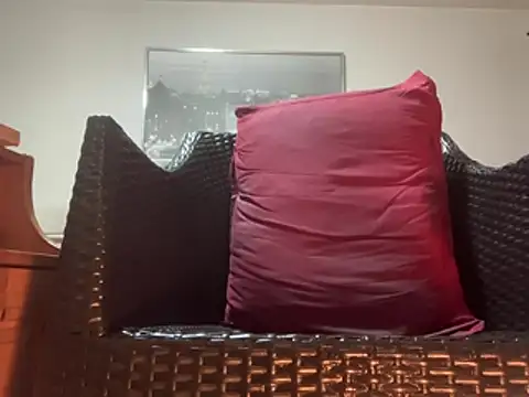 Show webcam de Tyyson03