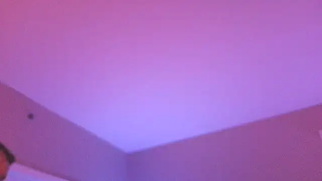 seb_tvのウェブカメラショー