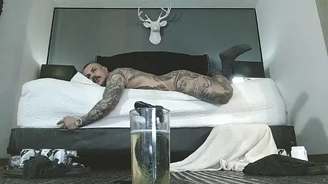 danilog515 라이브 XXX 채팅
