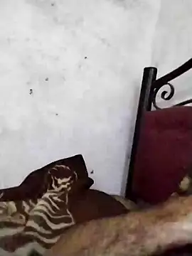 Chat XXX ao vivo de salimbasha