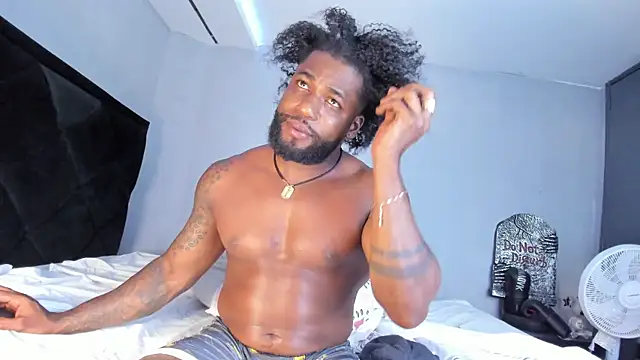 Dancelwashingtonn Webbikameraesitys