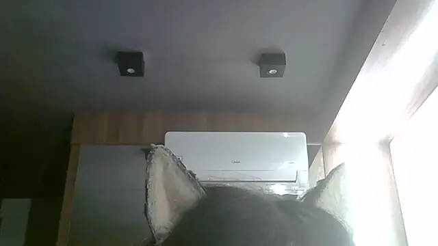SkinnyKitten Pertunjukan Webcam