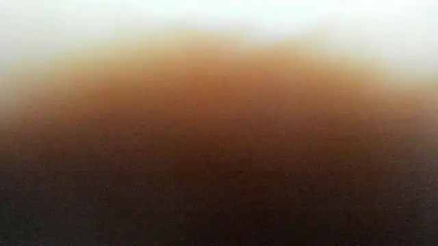 BrendaWildd 라이브 XXX 채팅