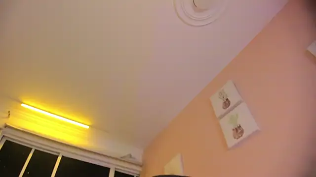 APRILL_FOXXのウェブカメラショー