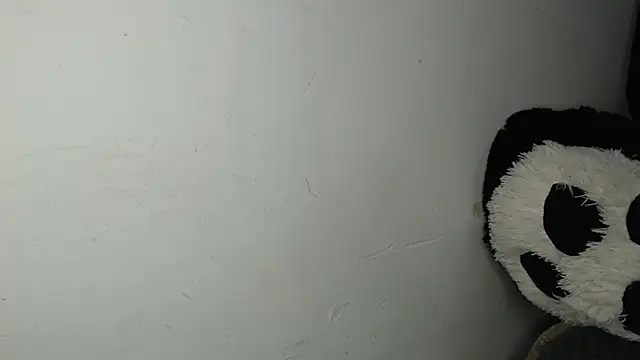Chat +18 de SWEETT_CORY ao vivo