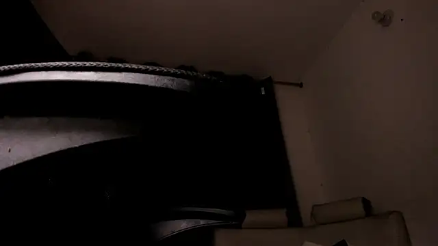 s_sven03のウェブカメラショー