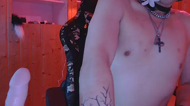 AskAveryAnything Show in webcam