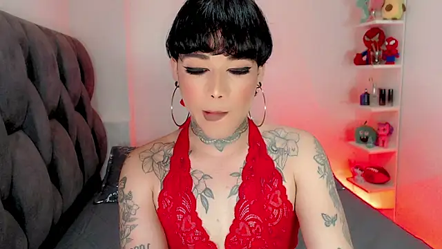 little_star_porn 웹캠 쇼