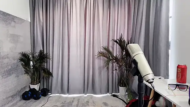 hafabva webkamerás műsora