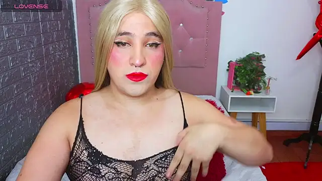 party_ts – Kamerová šou