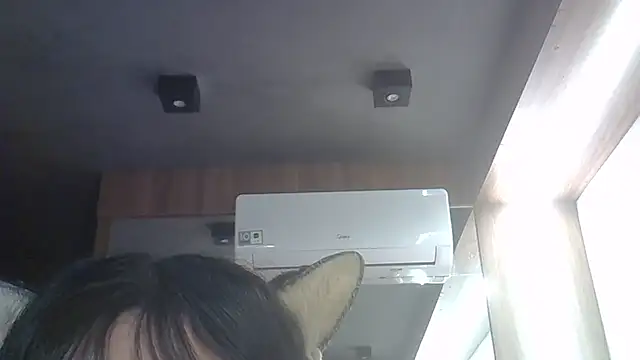Show de webcam de SkinnyKitten