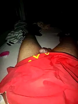 عرض كام wolf297
