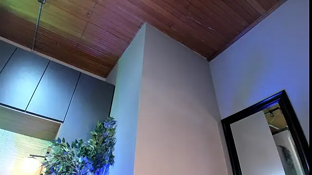 Dustin_Sonne Show Webcam