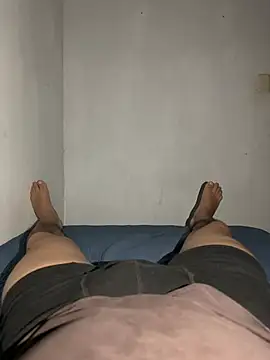Show modela HamsD3 na web-kameri