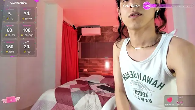 angel_hass18n Webbikameraesitys